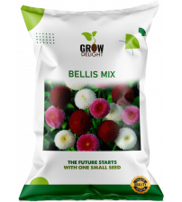 Grow Delight Imported Bellis Mix 100 Seeds Grow Delight Imported Bellis Mix 100 Seeds